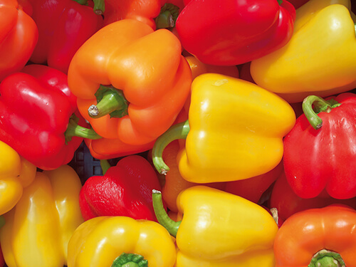 Chili-Peppers Chili-Peppers