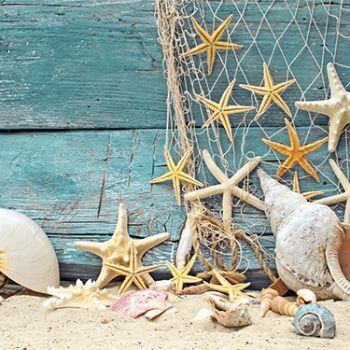 Playa-de-Ensueño-350x350 Playa-de-Ensueño-350x350