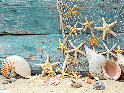 Dream-Beach Playa-de-Ensueño